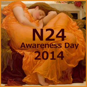 N24 Awareness Day 2014 icon